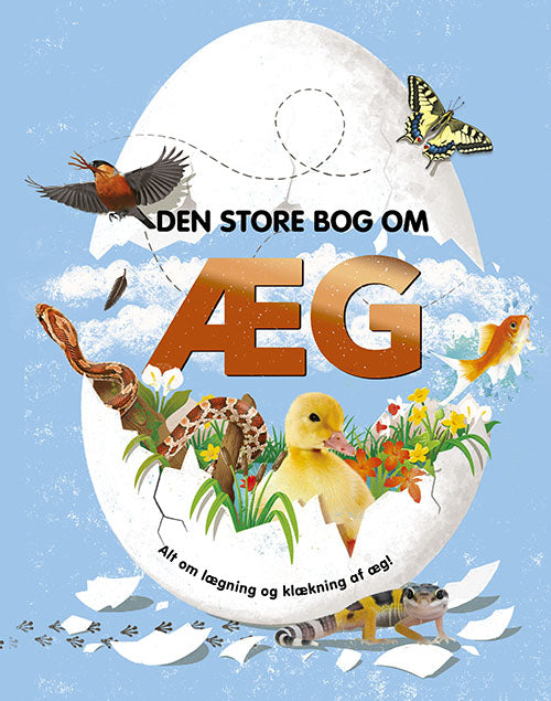 Forside til bogen Den store bog om æg