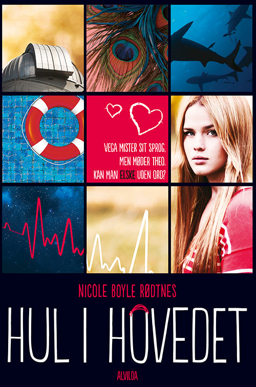 Forside til bogen Hul i hovedet