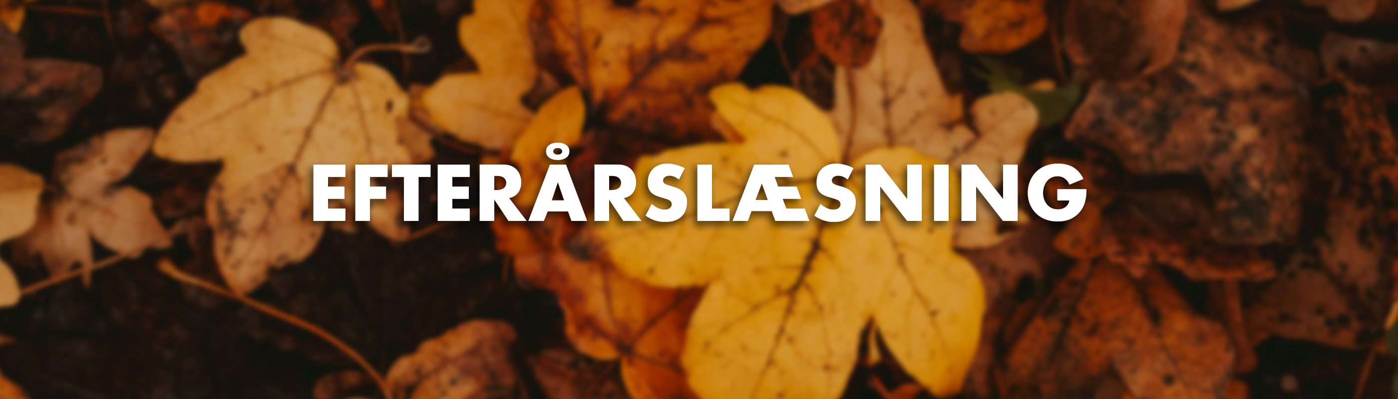 Skovbund med efterårsblade og teksten ’efterårslæsning’