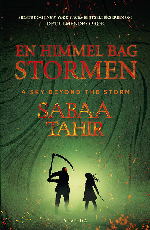 Forside til bogen En himmel bag stormen