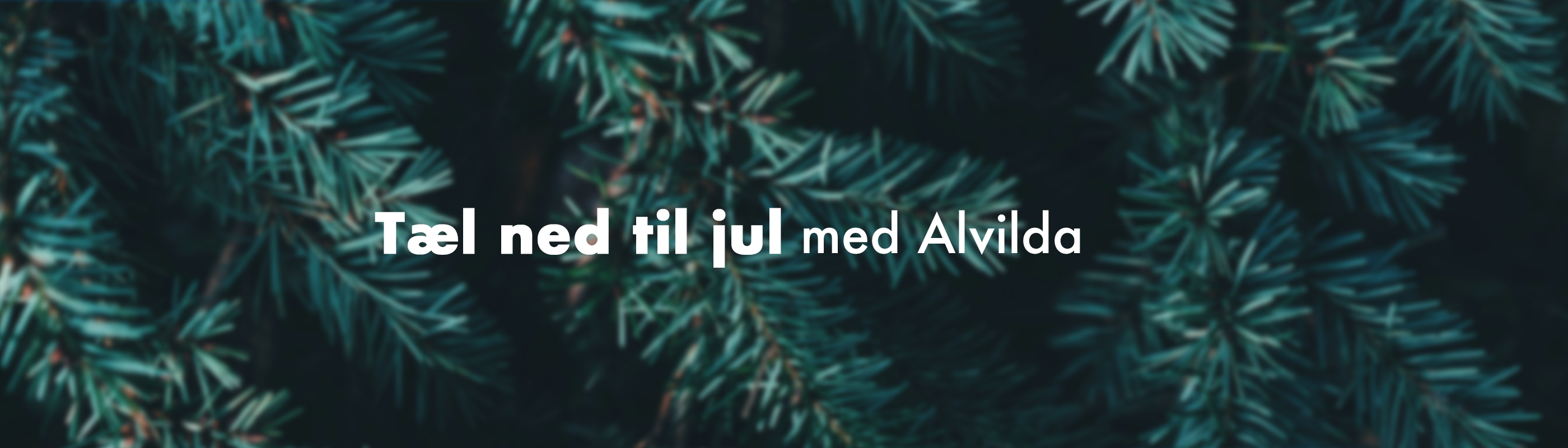 Banner med teksten "Tæl ned til jul med Alvilda" på en baggrund af grønne grene fra et grantræ.